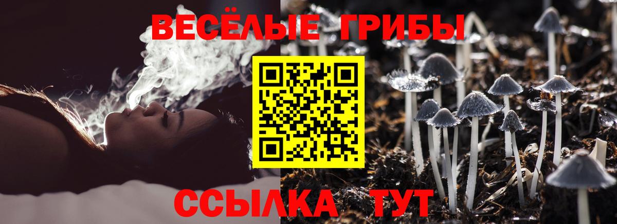 Псилоцибиновые грибы GOLDEN TEACHER Сухой Лог
